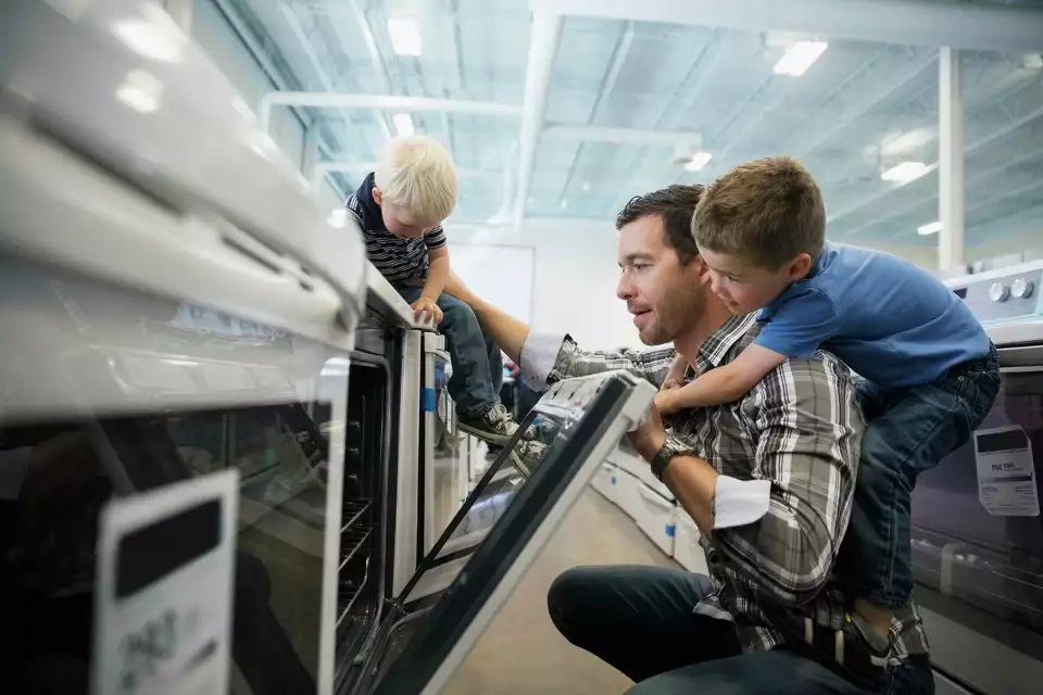 Understanding the Rise of Buy Now, Pay Later Services Among Financially Fragile Consumers